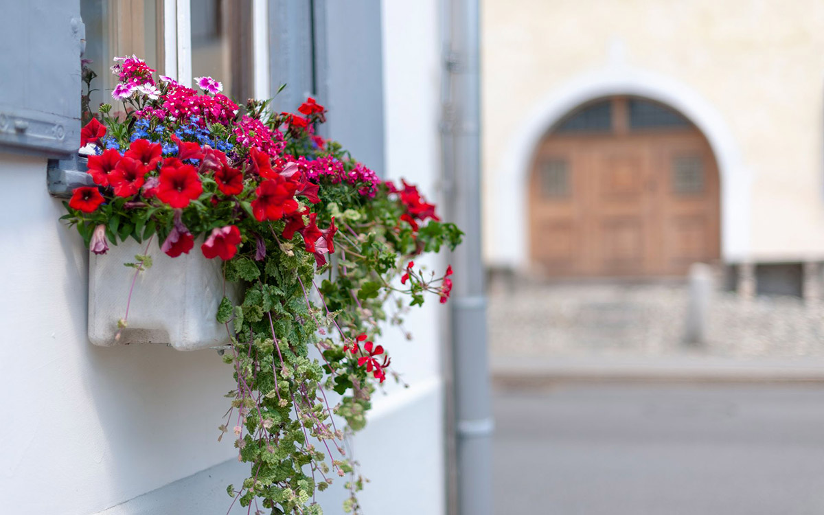 Freude mit Blumen